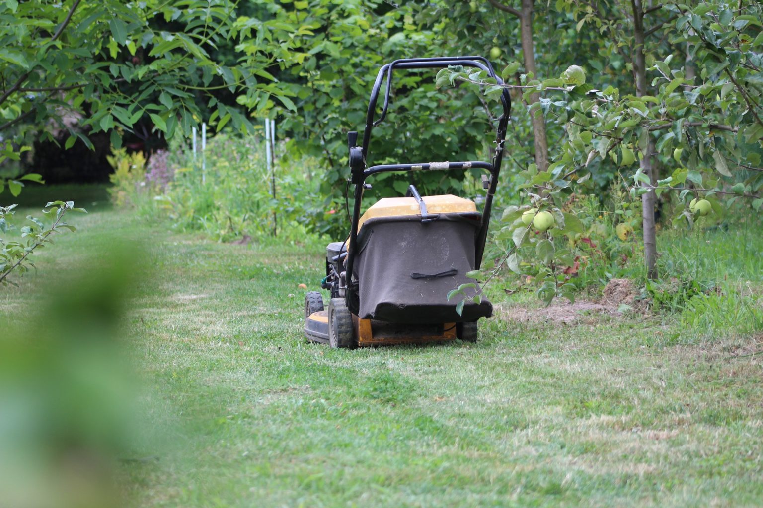 Rasen im Frühjahr Haus & Garten München