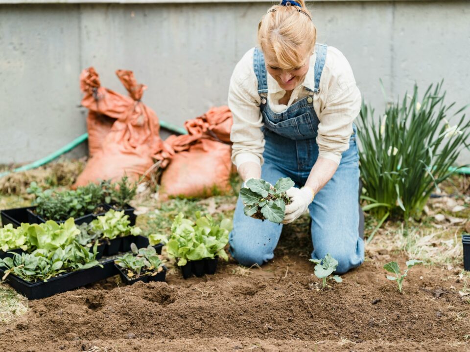 Frühjahrsputz in München