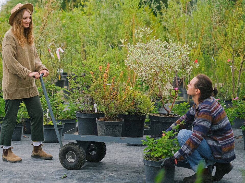 Sommernachmittag im Garten verbringen