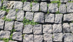 Terrassenfugen reinigen und Unkraut entfernen
