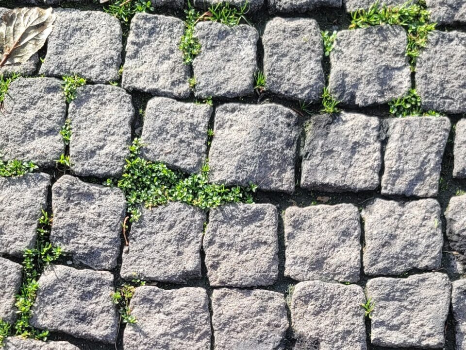 Terrassenfugen reinigen und Unkraut entfernen